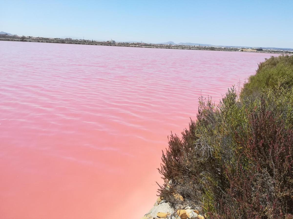 Morada Calida Daire San Pedro del Pinatar Dış mekan fotoğraf